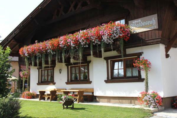 Waldesruh Apartment Niederthai Dış mekan fotoğraf